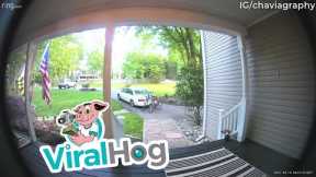 Doorbell Camera Catches Husband Trying to Hide Fart || ViralHog