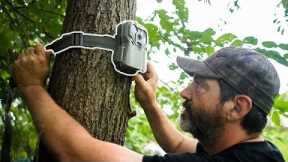 Dan Infalt's Trail Camera Strategy For Hunting Mature Whitetails