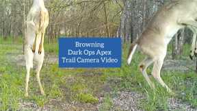 New Trail Camera Site: Browning Dark Ops Apex Video March 27-31, 2022
