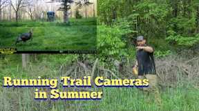 KOAM Outdoors Strategies -  Summer Trail Cameras