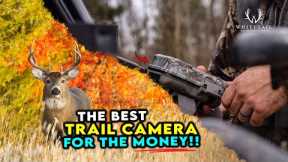 The BEST Trail Camera for the MONEY! USE THESE!!