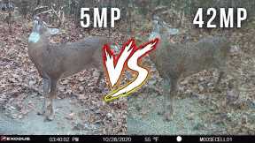 The BIGGEST LIE About Trail Camera Photo Resolution!