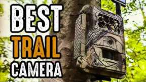 5 Best Trail Camera for Wildlife Monitoring