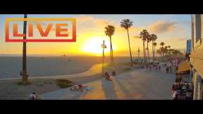 🔴 Venice Beach LIVE Los Angeles Stream · presented by the Venice V Hotel