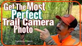 Trail Camera SetUp - Get The Perfect Deer Photo 📸