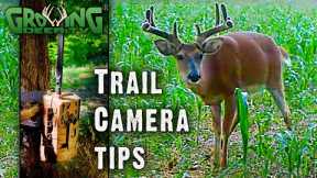 Trail Camera Tips: Where and How to Place Cameras (713)