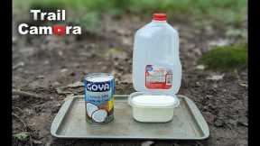 Coconut Milk vs. Regular Milk | Left in the Woods [TRAIL CAMERA]