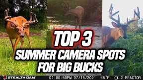 TOP 3 Summer Trail Camera Spots For BIG Bucks!