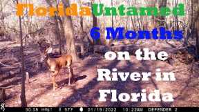 Trail Cam Video Footage - 6 Months in the Central Florida Swamp - Next to a River - FloridaUntamed