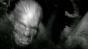 UNKNOWN FACE CAUGHT ON TRAIL-CAM!