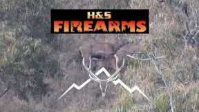 Zebra's hunting Adventures, DSOON trail camera review. (Sambar deer hunting).