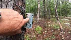 Trail Camera Was Torn Off The Tree