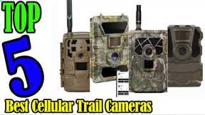 Buyer’s Guide: Best Cellular Trail Cameras In 2022