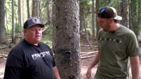 Trail Cameras 101 - Setting Up
