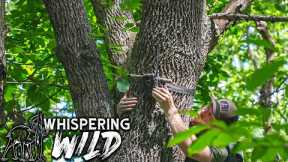 Hanging Trail Camera's on PUBLIC LAND!