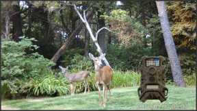 Setting Up A Terra Extreme Trail Camera
