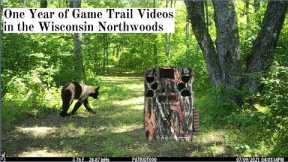 Chequamegon-Nicolet National Forest (2021) - Game Trail Camera Videos