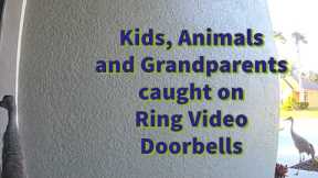 Kids, Animals and Grandparents caught on Ring Video Doorbell #ringvideodoorbell #caughtoncamara