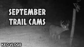 Bailey Farm Trail Cams Early September 2022