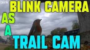 Blink Camera as a Trail Camera
