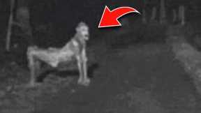 Trail Cam Footage Caught Something No One Has Seen