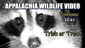 Appalachia Wildlife Video 22-43 from Trail Cameras in the Tennessee Foothills of the Smoky Mountains