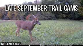 Bailey Farm Trail Cams Late September 2022