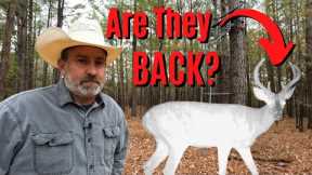 Dogs Attack Again!?! | Are The Bucks Back? | Wildlife Trail Camera Videos