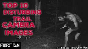 Top 10 Disturbing Trail Camera Images