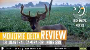 Moultrie Delta Cellular Trail camera Three Month Review