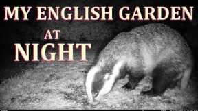 Wild Animals - My English Garden at Night - Trail Camera
