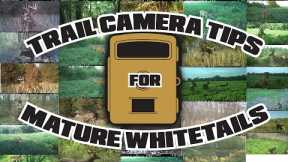 Don Higgins - Trail Camera Tips for Mature Whitetails
