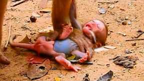 Million Sad Clip Poor Tiny New Baby Monkey Crying, Why Momma Why You Unlove Her Baby Look So Cry