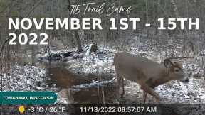 November 1st-15th 2022 Tomahawk Wisconsin Trail Cam Highlights