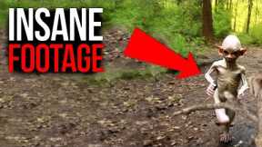 Disturbing Trail Cam Footage You Won't Believe Exists