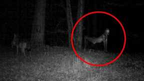 SCARY Trail Cam Captures DISTURBING Footage