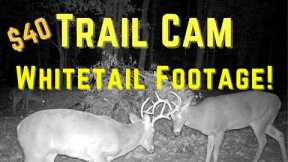 StealthCam Trail Camera Review
