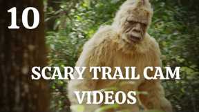 Top 10 Scary Trail Cam Videos We Weren't Supposed To See | Caught On Camera | Trail Cam