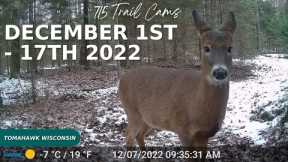 December 1st-17th 2022 Tomahawk Wisconsin Trail Camera Highlights