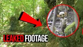 Disturbing Trail Cam Captures No One Can Explain
