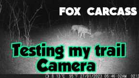 Testing My Trail Camera || Camera Traping