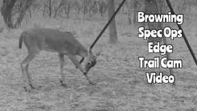 Browning Spec Ops Edge Trail Cam Video Oct. 24-26, 2022