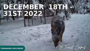 December 18-31 2022 Tomahawk Wisconsin Trail Camera Hightlights