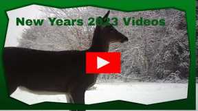 New Year 2023 Game Camera Videos