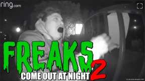 The Freaks Come Out at Night 2 (Caught on Ring Doorbell)