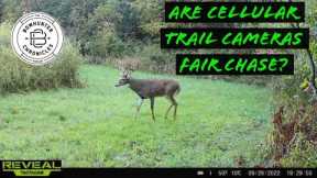 Are Cellular Trail Cameras Fair Chase? - Byron Horton - Walter Lee