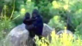 Top 15 Most Convincing Bigfoot Sightings Caught on Tape