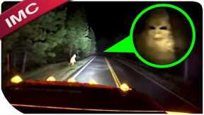 The Most Jaw Dropping Bigfoot Videos You Will Ever See