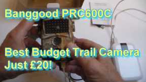 Banggood PRC 600C Trail Camera - Best Budget Trail Camera - Unboxed + Using + Test Clips