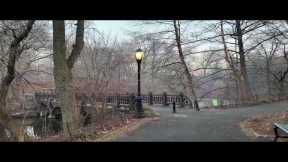 Live NYC Walking Commute: Going to the Upper West Side - Feb 8, 2023